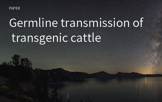 Germline transmission of transgenic cattle