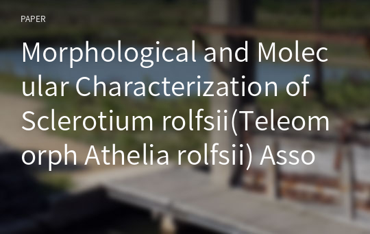 Morphological and Molecular Characterization of Sclerotium rolfsii(Teleomorph Athelia rolfsii) Associated with Sclerotium Rot of Cucumis melo L. var. makuwa Makino