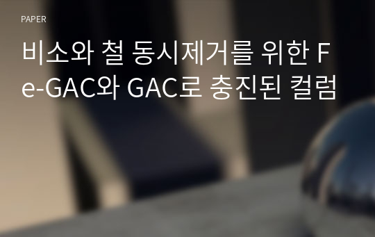 비소와 철 동시제거를 위한 Fe-GAC와 GAC로 충진된 컬럼