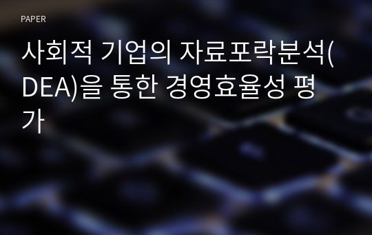 사회적 기업의 자료포락분석(DEA)을 통한 경영효율성 평가