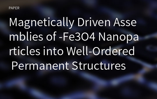 Magnetically Driven Assemblies of -Fe3O4 Nanoparticles into Well-Ordered Permanent Structures