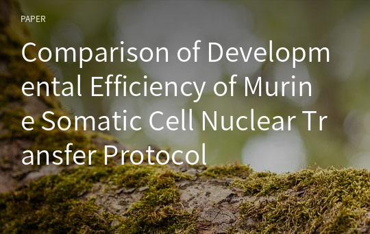 Comparison of Developmental Efficiency of Murine Somatic Cell Nuclear Transfer Protocol