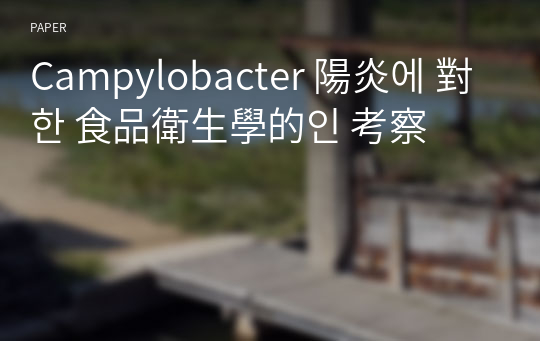 Campylobacter 陽炎에 對한 食品衛生學的인 考察