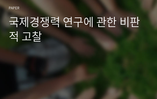 국제경쟁력 연구에 관한 비판적 고찰