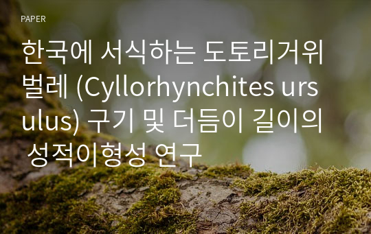 한국에 서식하는 도토리거위벌레 (Cyllorhynchites ursulus) 구기 및 더듬이 길이의 성적이형성 연구