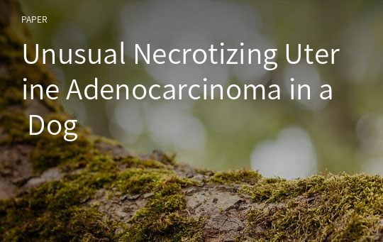Unusual Necrotizing Uterine Adenocarcinoma in a Dog