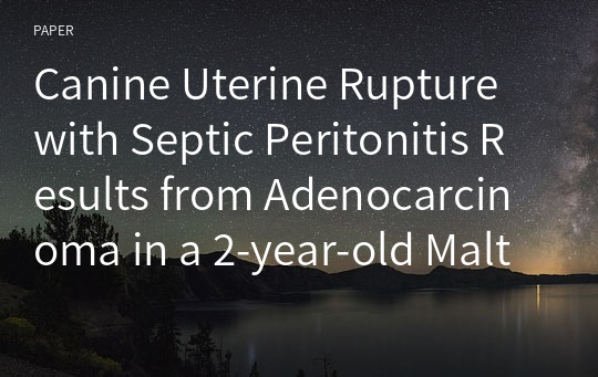 Canine Uterine Rupture with Septic Peritonitis Results from Adenocarcinoma in a 2-year-old Maltese Dog