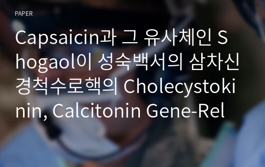 Capsaicin과 그 유사체인 Shogaol이 성숙백서의 삼차신경척수로핵의 Cholecystokinin, Calcitonin Gene-Related Peptide의 분포에 주는 영향