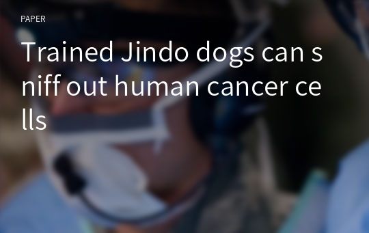 Trained Jindo dogs can sniff out human cancer cells