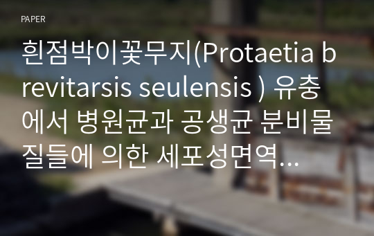 흰점박이꽃무지(Protaetia brevitarsis seulensis ) 유충에서 병원균과 공생균 분비물질들에 의한 세포성면역반응