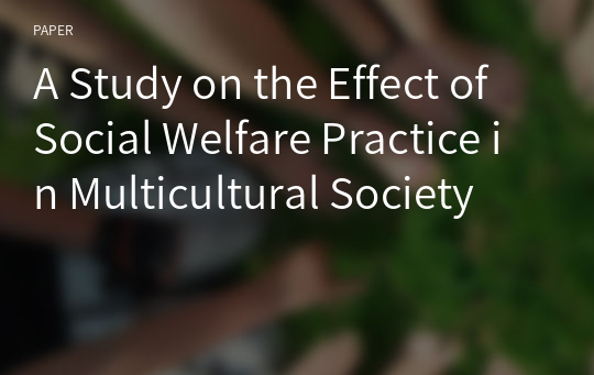 A Study on the Effect of Social Welfare Practice in Multicultural Society