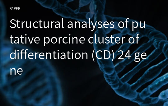 Structural analyses of putative porcine cluster of differentiation (CD) 24 gene