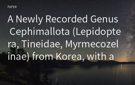 A Newly Recorded Genus Cephimallota (Lepidoptera, Tineidae, Myrmecozelinae) from Korea, with a New Recorded Species