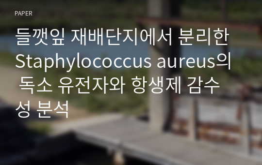 들깻잎 재배단지에서 분리한 Staphylococcus aureus의 독소 유전자와 항생제 감수성 분석