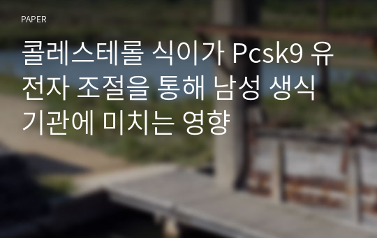 콜레스테롤 식이가 Pcsk9 유전자 조절을 통해 남성 생식기관에 미치는 영향