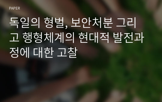 독일의 형벌, 보안처분 그리고 행형체계의 현대적 발전과정에 대한 고찰