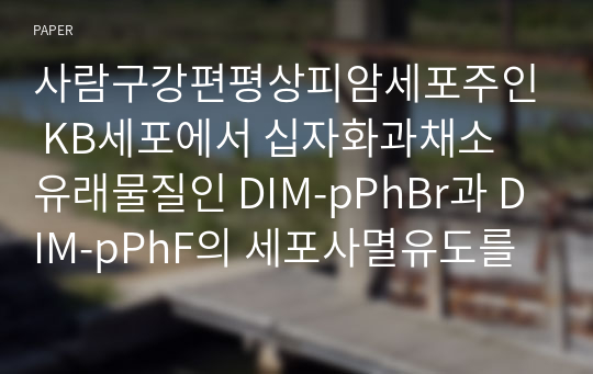 사람구강편평상피암세포주인 KB세포에서 십자화과채소 유래물질인 DIM-pPhBr과 DIM-pPhF의 세포사멸유도를 통한 항종양효능에 관한 연구