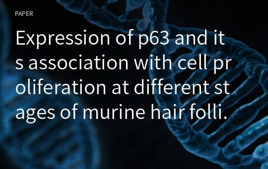 Expression of p63 and its association with cell proliferation at different stages of murine hair follicle cycle