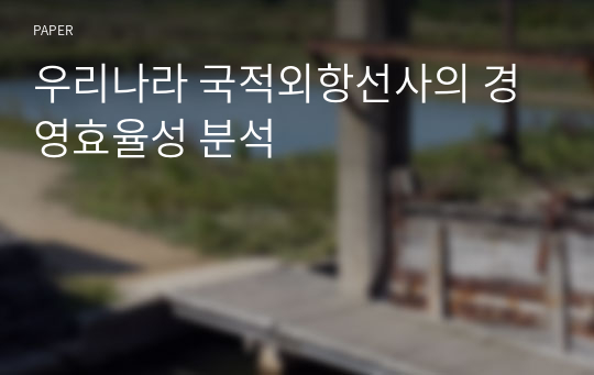 우리나라 국적외항선사의 경영효율성 분석