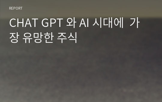 CHAT GPT 와 AI 시대에  가장 유망한 주식