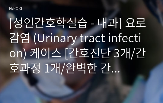 [성인간호학실습 - 내과] 요로감염 (Urinary tract infection) 케이스 [간호진단 3개/간호과정 1개/완벽한 간호과정]