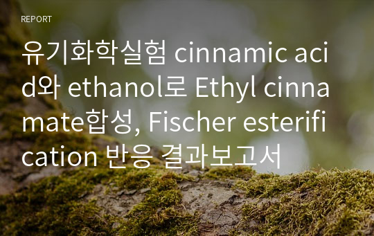유기화학실험 cinnamic acid와 ethanol로 Ethyl cinnamate합성, Fischer esterification 반응 결과보고서