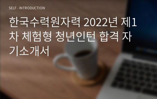 한국수력원자력 2022년 제1차 체험형 청년인턴 합격 자기소개서