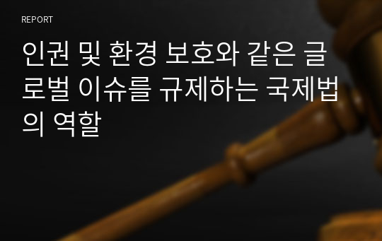 인권 및 환경 보호와 같은 글로벌 이슈를 규제하는 국제법의 역할