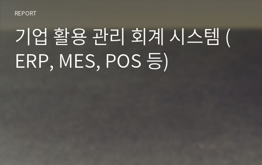 기업 활용 관리 회계 시스템 (ERP, MES, POS 등)