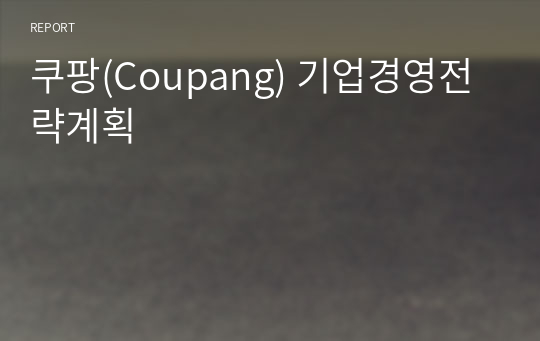 쿠팡(Coupang) 기업경영전략계획