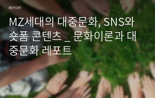 MZ세대의 대중문화, SNS와 숏폼 콘텐츠 _ 문화이론과 대중문화 레포트