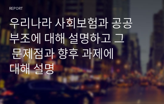 우리나라 사회보험과 공공부조에 대해 설명하고 그 문제점과 향후 과제에 대해 설명