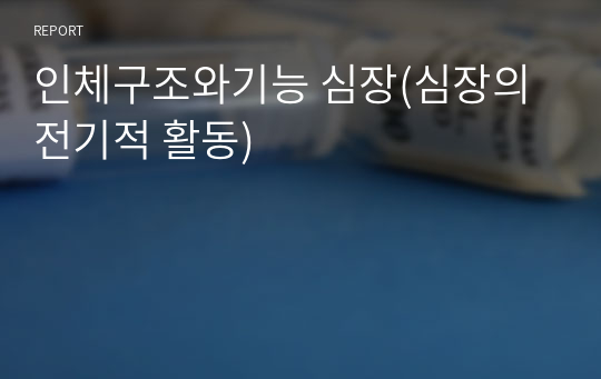 인체구조와기능 심장(심장의 전기적 활동)