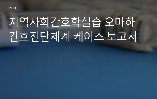 지역사회간호학실습 오마하 간호진단체계 케이스 보고서