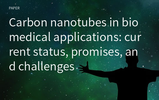 Carbon nanotubes in biomedical applications: current status, promises, and challenges