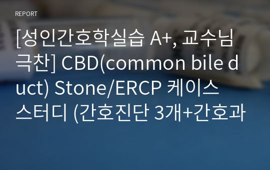 [성인간호학실습 A+, 교수님 극찬] CBD(common bile duct) Stone/ERCP 케이스 스터디 (간호진단 3개+간호과정+약물+문헌고찰)