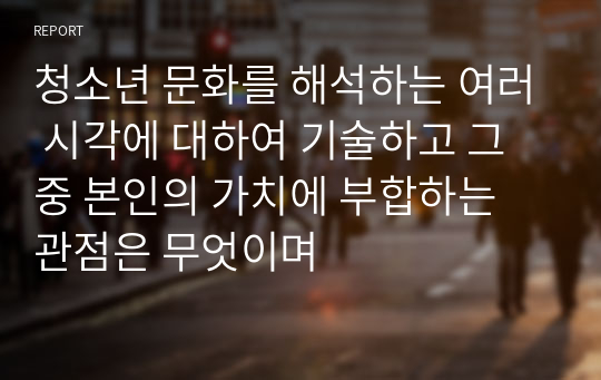 청소년 문화를 해석하는 여러 시각에 대하여 기술하고 그 중 본인의 가치에 부합하는 관점은 무엇이며