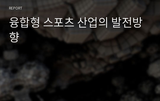 융합형 스포츠 산업의 발전방향