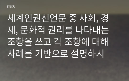 세계인권선언문 중 사회, 경제, 문화적 권리를 나타내는 조항을 쓰고 각 조항에 대해 사례를 기반으로 설명하시