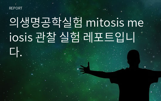 의생명공학실험 mitosis meiosis 관찰 실험 레포트입니다.