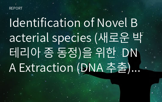 Identification of Novel Bacterial species (새로운 박테리아 종 동정)을 위한  DNA Extraction (DNA 추출) (A+ 평가자료)