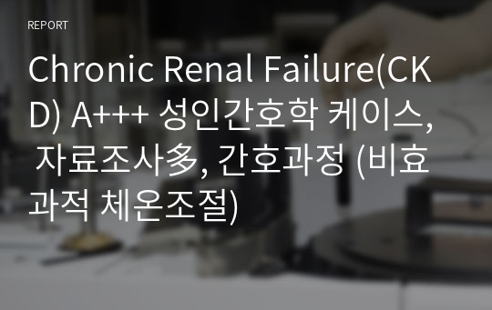 Chronic Renal Failure(CKD) A+++ 성인간호학 케이스, 자료조사多, 간호과정 (비효과적 체온조절)