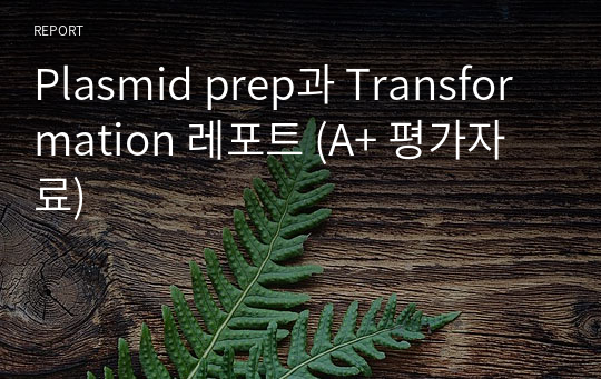 Plasmid prep과 Transformation 레포트 (A+ 평가자료)