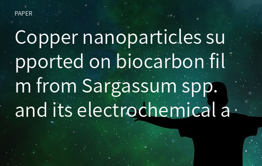 Copper nanoparticles supported on biocarbon film from Sargassum spp. and its electrochemical activity in reducing CO2