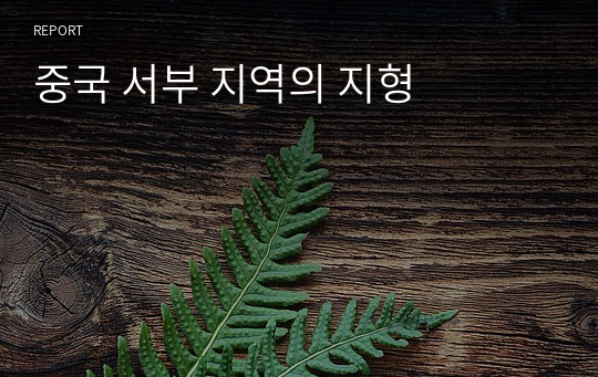 중국 서부 지역의 지형