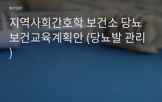 지역사회간호학 보건소 당뇨 보건교육계획안 (당뇨발 관리)