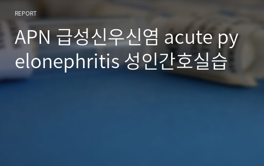 APN 급성신우신염 acute pyelonephritis 성인간호실습