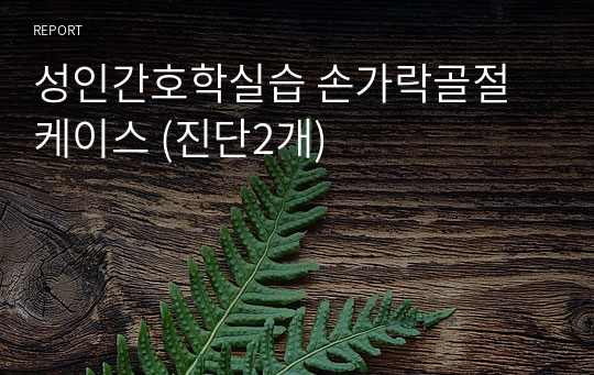 성인간호학실습 손가락골절 케이스 (진단2개)