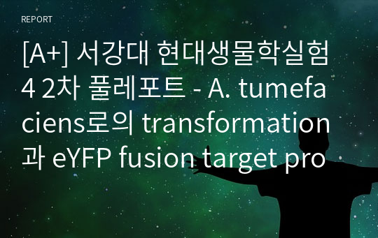 [A+] 서강대 현대생물학실험4 2차 풀레포트 - A. tumefaciens로의 transformation과 eYFP fusion target protein의 sublocallization 및 WRI1, DGAT1 발현에 따른 잎에서의 TAG 증가 확인