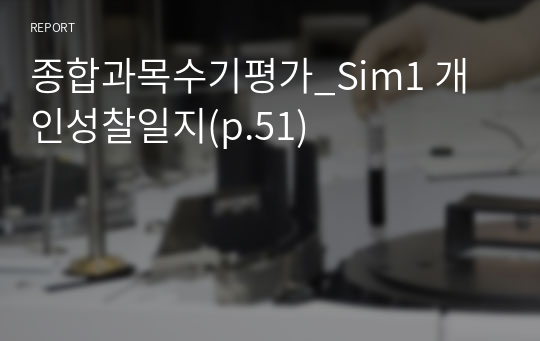 종합과목수기평가_Sim1 개인성찰일지(p.51)